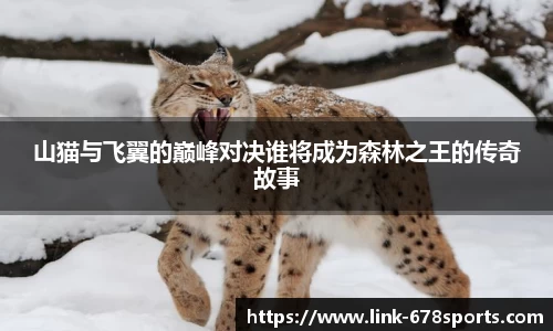 山猫与飞翼的巅峰对决谁将成为森林之王的传奇故事